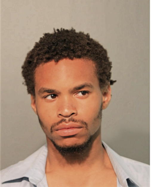 CARL JOHNSON, Cook County, Illinois