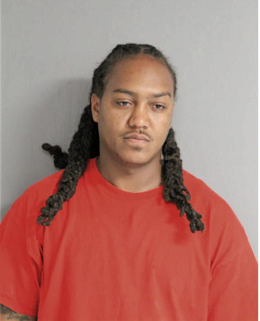 DAVID L JOHNSON, Cook County, Illinois