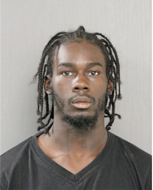 DEANDRE A JOHNSON, Cook County, Illinois