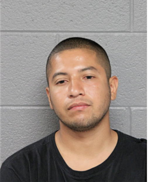 FERNANDO LARA, Cook County, Illinois