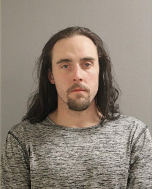DAVID M LUBBEN, Cook County, Illinois