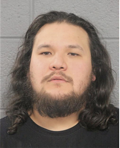 CARLOS A MARTINEZ, Cook County, Illinois