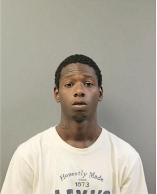 DAVID D MCDANIEL, Cook County, Illinois