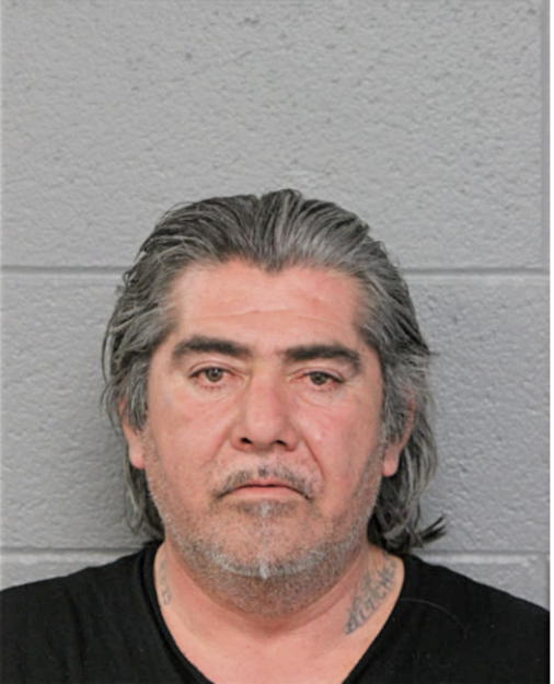 JOSE C ORTEGA, Cook County, Illinois
