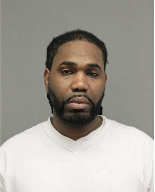 RON P TURNER, Cook County, Illinois