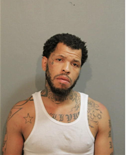 DAVID M WOODS, Cook County, Illinois