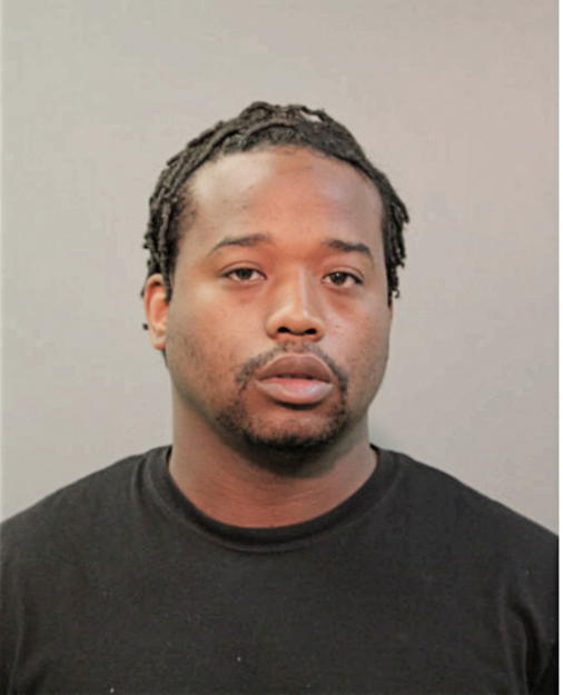 MICHAEL J ADDISON, Cook County, Illinois