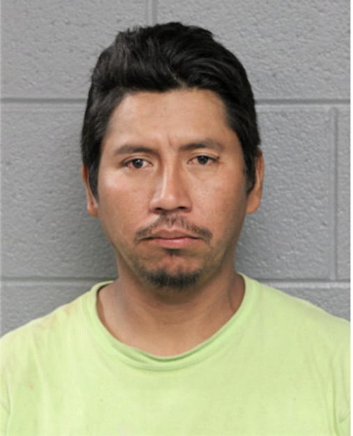 JOSE E ALENCASTRO-GONZALEZ, Cook County, Illinois
