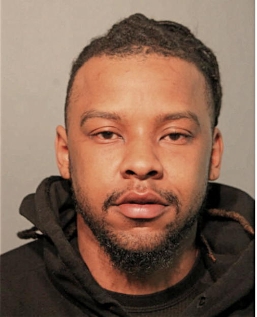 ROBERT L ALLISON, Cook County, Illinois