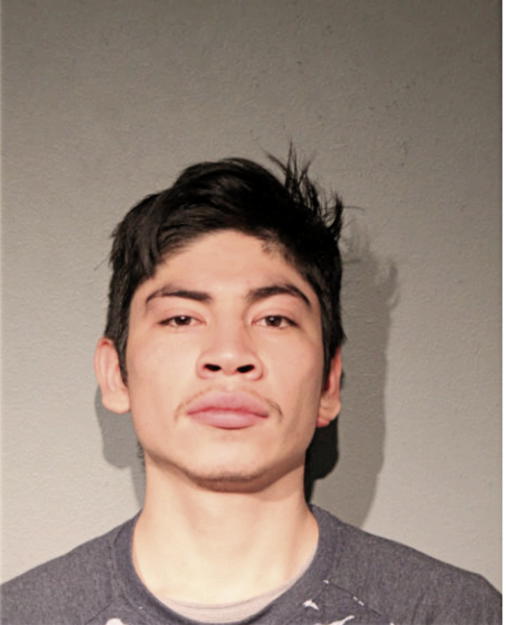 MIGUEL A ALTERES, Cook County, Illinois