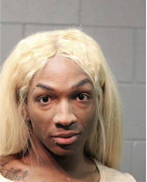JESSE D CHANDLER, Cook County, Illinois