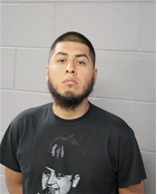 CESAR P CHANEZ, Cook County, Illinois