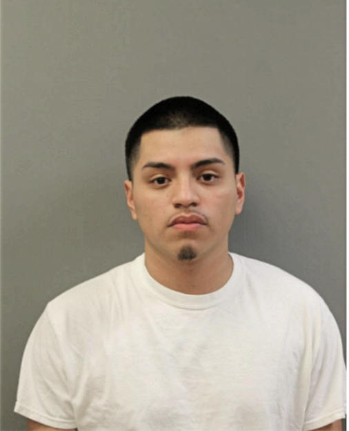 CHRISTIAN DIAZ, Cook County, Illinois
