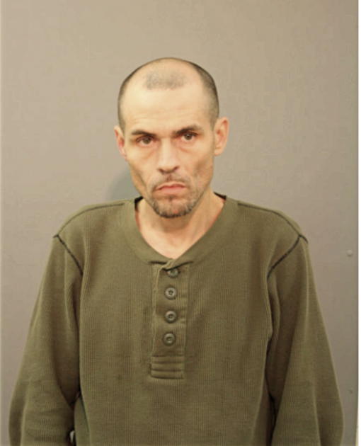 REYNALDO T FELICIANO, Cook County, Illinois
