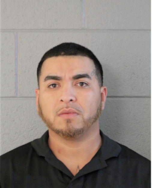 VICTOR H FLORES, Cook County, Illinois
