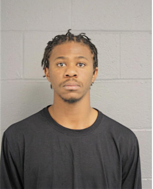 AARON C GARNER, Cook County, Illinois