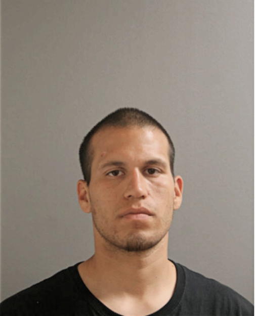 DAVID J GURNEAU, Cook County, Illinois
