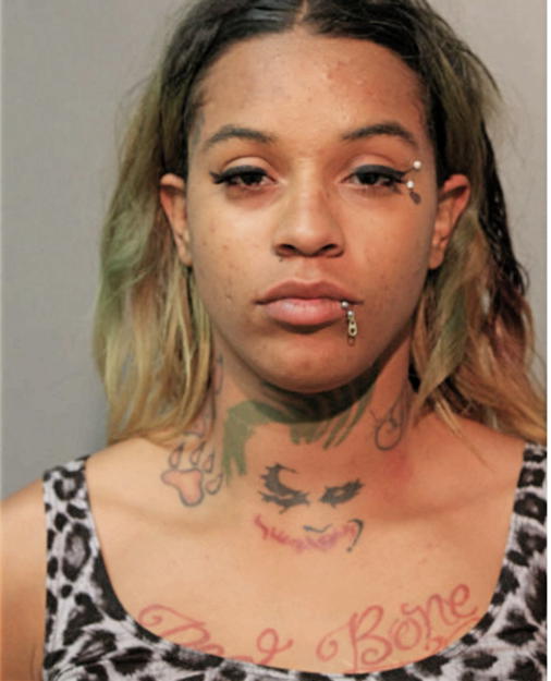 BRITTANY HILL, Cook County, Illinois