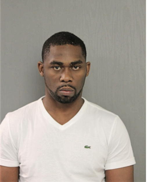 CHRISTOPHER E HORN, Cook County, Illinois