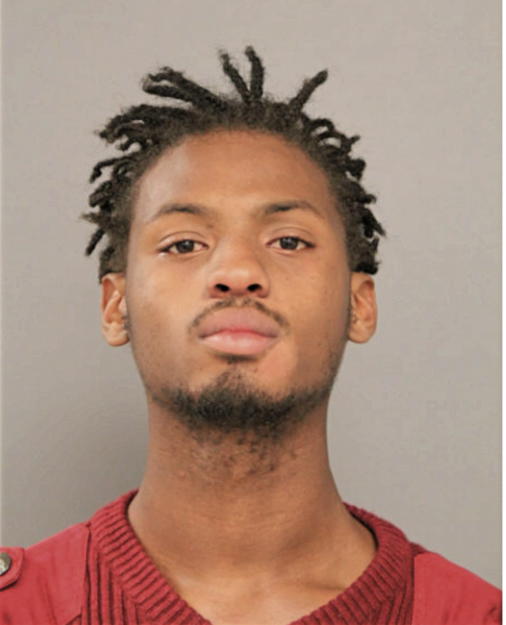 CHRISTOPER L HUNT, Cook County, Illinois