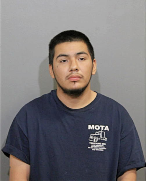 CHRISTIAN L MOTA, Cook County, Illinois