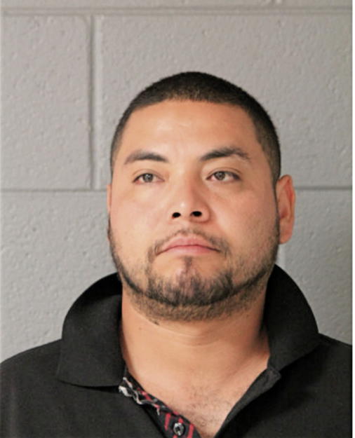 JUAN L MARTINEZ, Cook County, Illinois