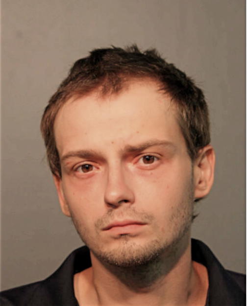 TOKARSKI MATEUSZ, Cook County, Illinois