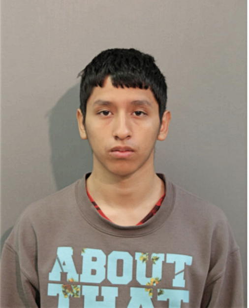 MIGUEL OCAMPO, Cook County, Illinois