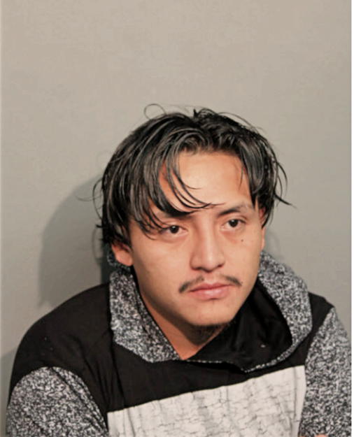 CRISTIAN ORTEGA-GUAMAN, Cook County, Illinois