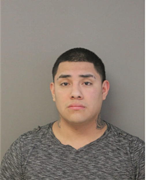 IRVING PAZ, Cook County, Illinois