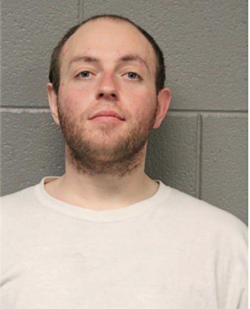 RYAN P PIZUR, Cook County, Illinois