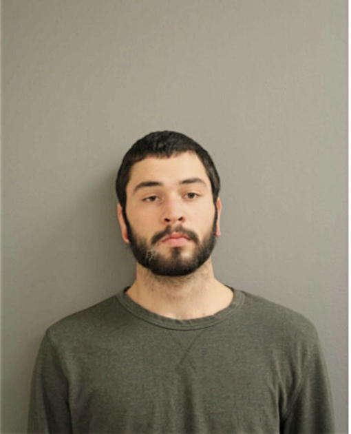 VINCENT POZZIE, Cook County, Illinois
