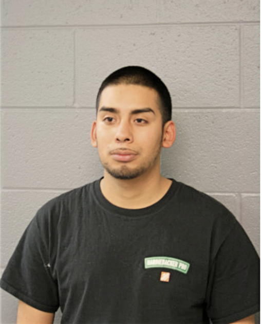 BILLY RENDON, Cook County, Illinois