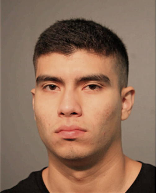 JESUS A RIVERA-ALVAREZ, Cook County, Illinois