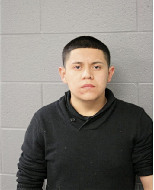 SERGIO A TAFOLLA, Cook County, Illinois