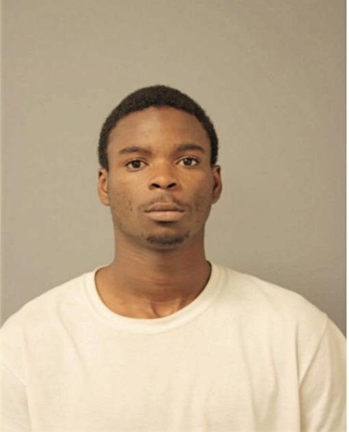 AURIUS J TERRY, Cook County, Illinois