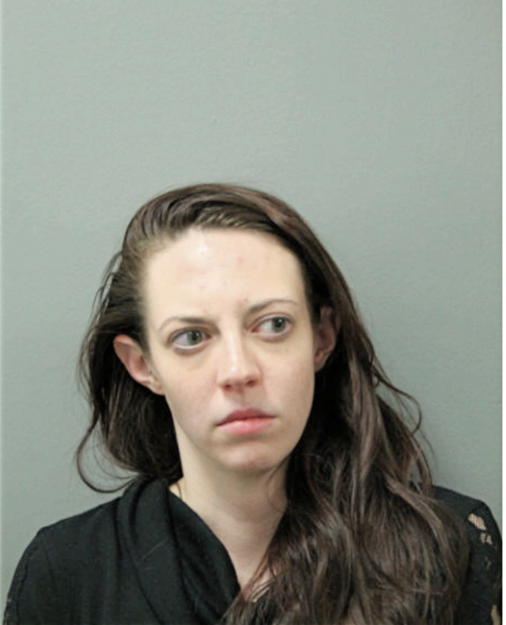 DANIELLE M THYS, Cook County, Illinois