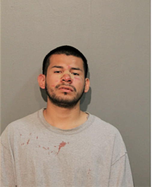 SANTINO M TORRES, Cook County, Illinois