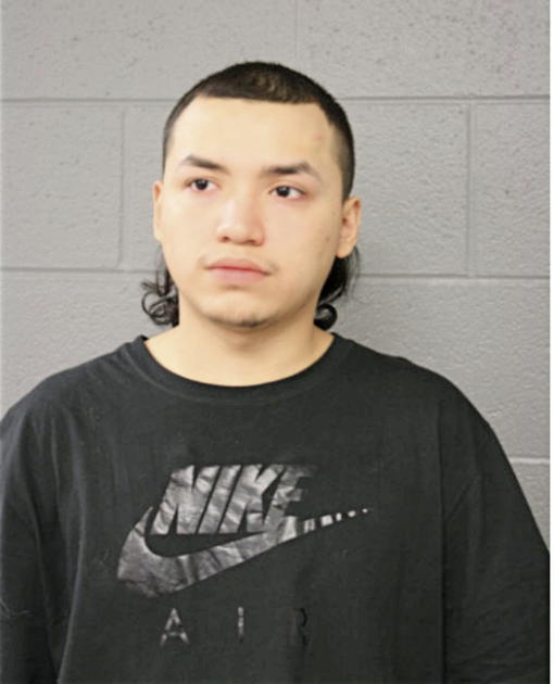 MARK R VARGAS, Cook County, Illinois
