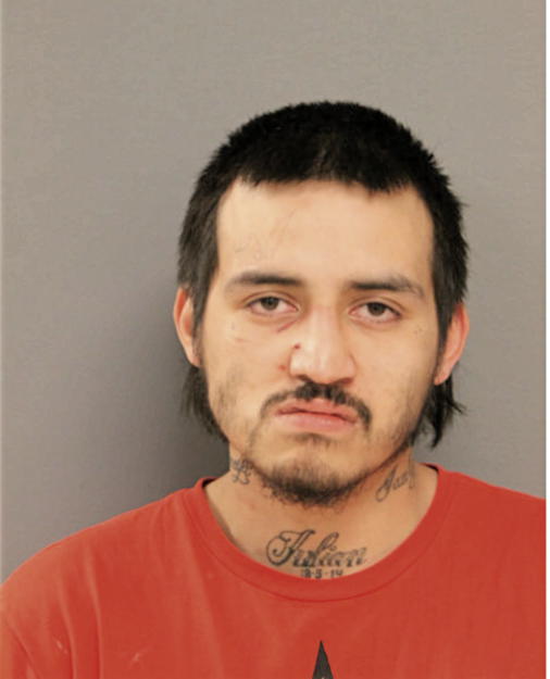 JULIAN A VELA, Cook County, Illinois
