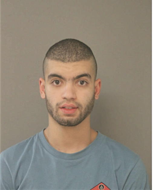 WAHID ZAARI, Cook County, Illinois