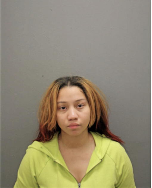 DEZARAY A AUSTIN, Cook County, Illinois