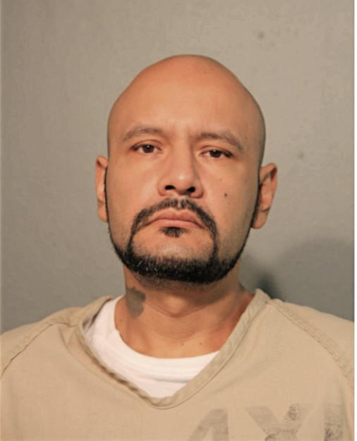 FIDEL L BELMONTES, Cook County, Illinois