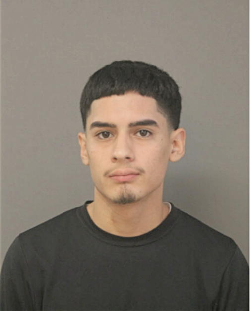 BERNARD S CARDENAS, Cook County, Illinois