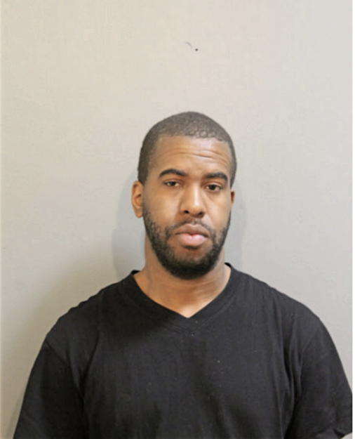 MICHAEL D DOGAN, Cook County, Illinois