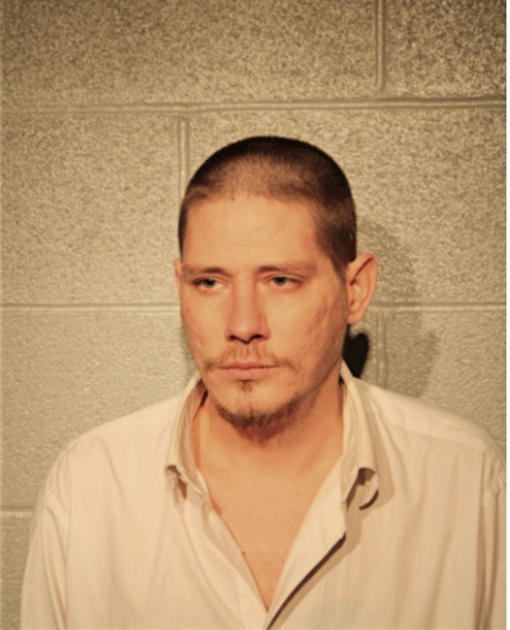 DANIEL J FESSLER, Cook County, Illinois