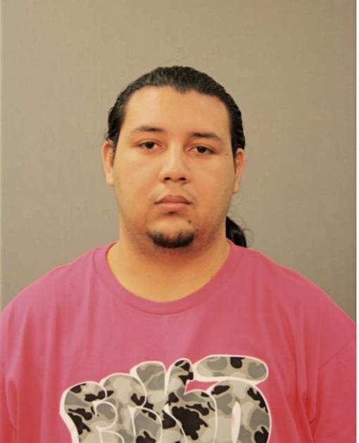 JESUS A FIGUEROA-BARRAGAN, Cook County, Illinois