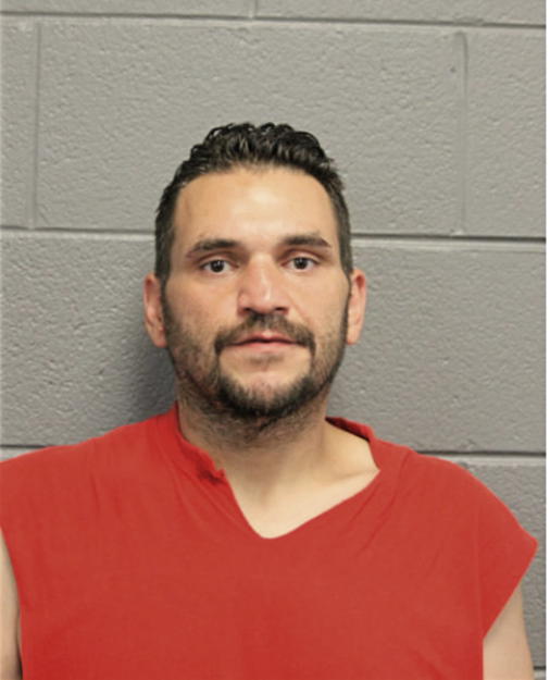 JORGE FLORES, Cook County, Illinois