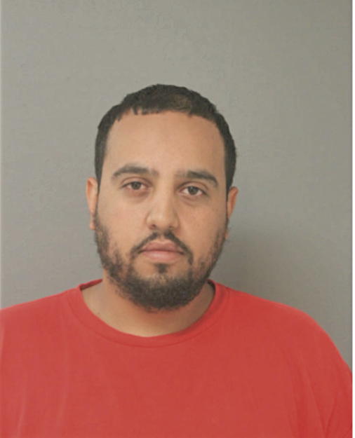LOUIS C HONORE II, Cook County, Illinois