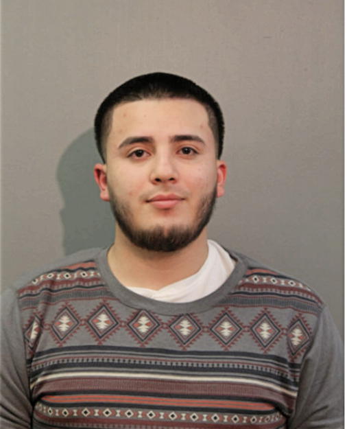 ERNESTO F LOZA, Cook County, Illinois